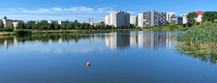 Jeziorko Balaton is one of tredozio.