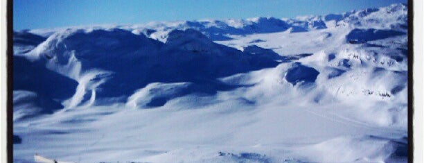 Hemsedal Skisenter is one of Lugares favoritos de Дина.