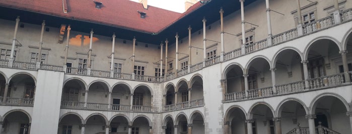 Wawel is one of Orte, die Ioannis gefallen.