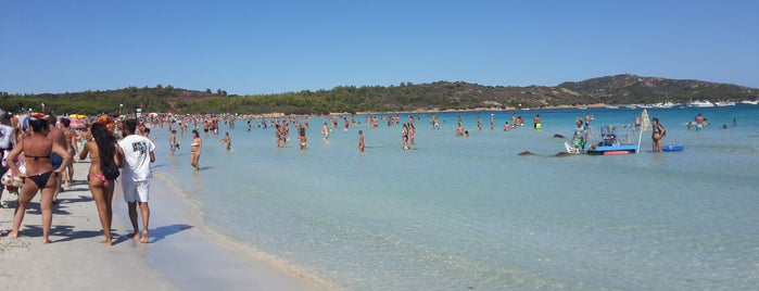 Cala Brandinchi is one of Lieux qui ont plu à Ioannis.