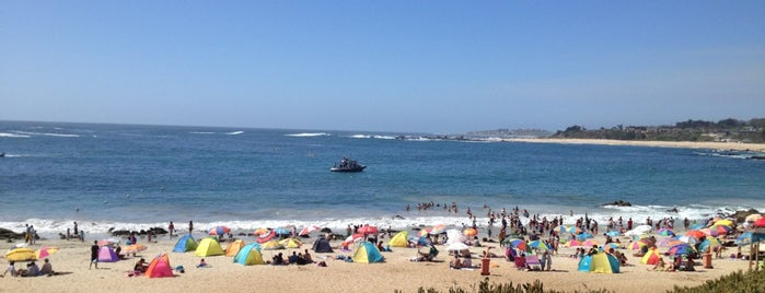 Playa Punta de Tralca is one of Lugares favoritos de Zaira.