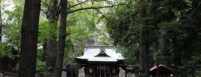 氷川神社 is one of 行きたい神社.