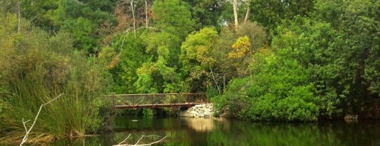 El Dorado Park Nature Center Trail is one of Maria'nın Kaydettiği Mekanlar.