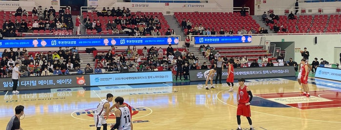Dongchun Gymnasium is one of basketball :-).