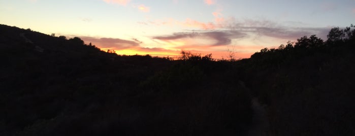 Aliso Trails and Woods Canyon/ Wilderness Parks is one of Locais curtidos por C.