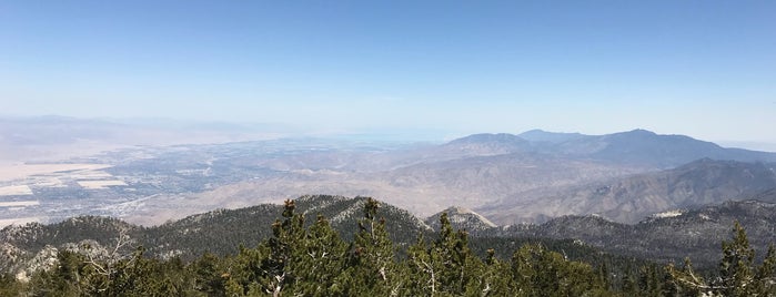 San Jacinto Summit is one of Tonyさんのお気に入りスポット.