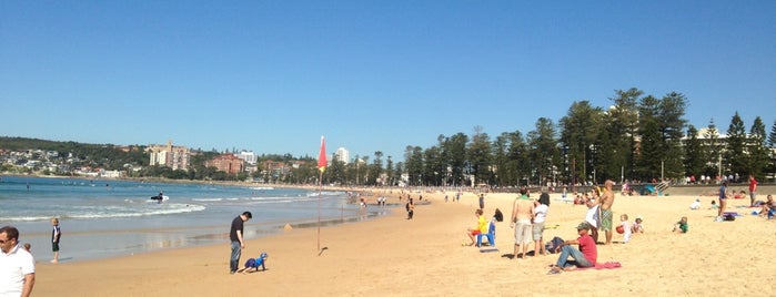 North Steyne Beach is one of Paradise.