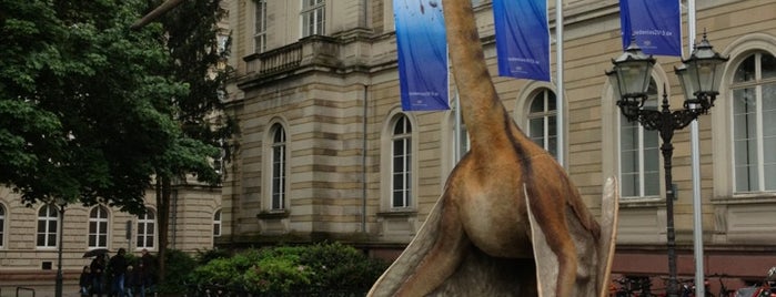 State Museum of Natural History Karlsruhe is one of Krs.