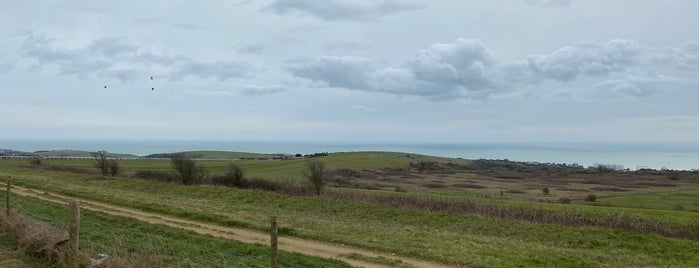 Brighton Racecourse is one of Horse Racecourses of UK.