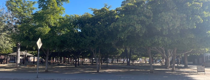 Parque Bugambilias is one of HMO-Lunch.