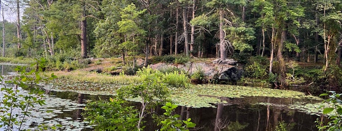 Mass Audubon Broadmoor Wildlife Sanctuary is one of Providence July 2023.