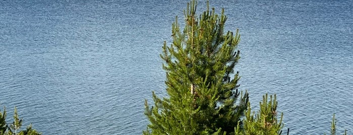 Yellowstone Lake is one of Jasonさんのお気に入りスポット.