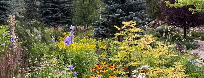 Betty Ford Alpine Garden is one of Colorado to do list.