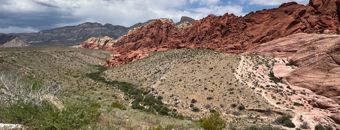 Calico Basin Trail is one of Las Vegas.
