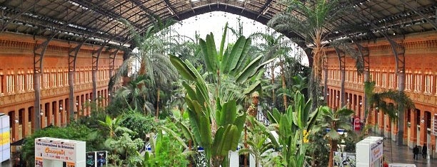 Jardín Tropical - Invernadero de Atocha is one of #myhints4Madrid.