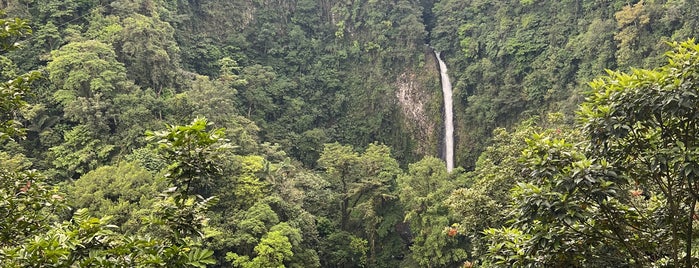 Catarata Río Fortuna is one of Costa Rica.