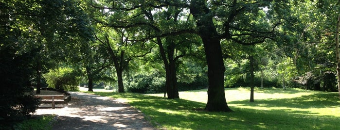 Carl-von-Ossietzky-Park is one of Moabit meine Liebe!.