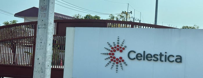 Celestica [CTH9] is one of Working Place.