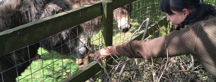 Hackney City Farm is one of Tempat yang Disukai hello_emily.