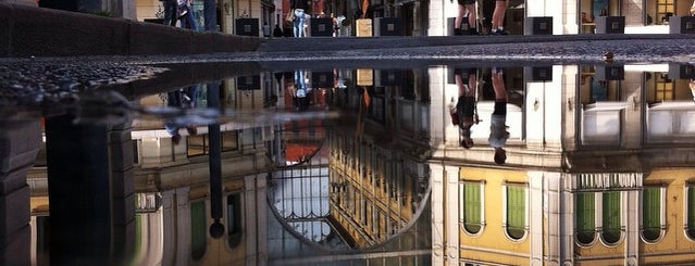 Galleria del Libro is one of Venice must-go place.