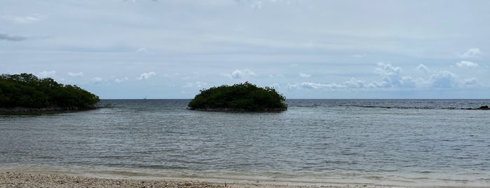 Mangel Halto Beach is one of Tempat yang Disukai Jefferson.