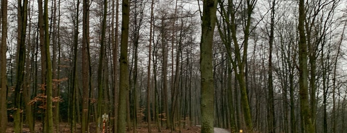 Aaper Wald is one of Düsseldorf Best: Sightseeing.