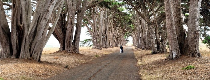 Cypress Tunnel is one of Bay Area.