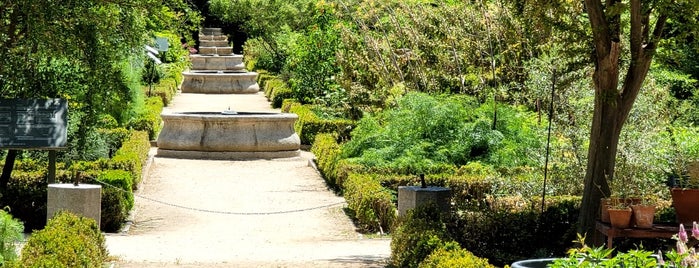 Royal Botanical Garden is one of Madrid.