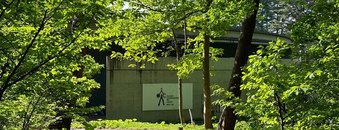 国際芸術センター青森 is one of ベスト美術館.
