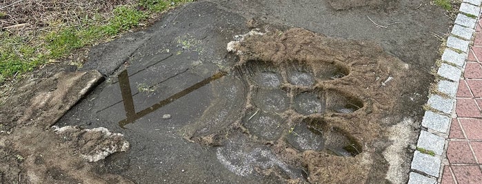 ゴジラの足跡 is one of 横須賀三浦半島.