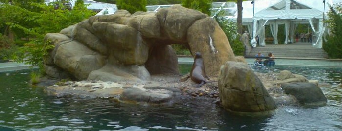 Central Park Zoo is one of 101 places to see in Manhattan before you die.