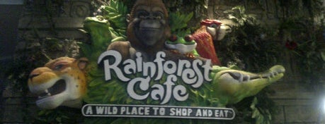 Rainforest Cafe Dubai is one of Explore Dubai.