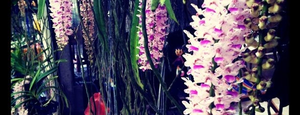 LukMai Orchid Nursery 1 (Thon Buri Market) ^^ is one of Top picks for Flower Shops.