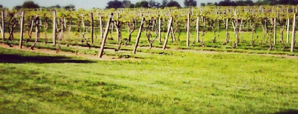 Fenn Valley Winery is one of Orte, die Sari gefallen.