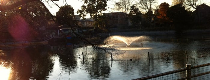 碑文谷公園 is one of 公園.