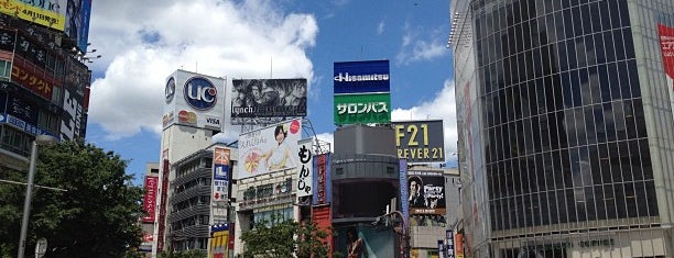 Shibuya Station is one of All-time favorites in Japan.