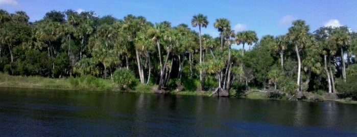 St Johns River is one of The Wild and Wacky Florida Dash.