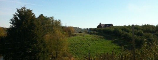 Johnson's Orchards is one of Apple farms.