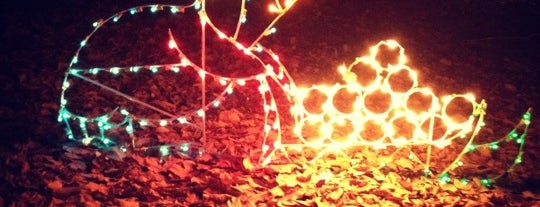 Roper Mountain Holiday Lights is one of Upstate SC Fairs and Festivals.