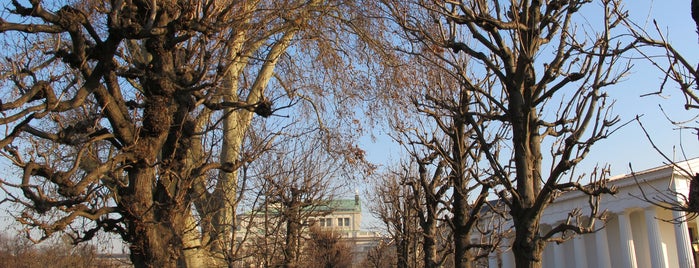 Volksgarten is one of Green Vienna.