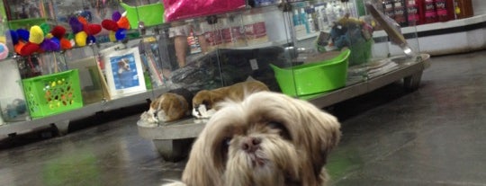 Dog's Shop is one of สถานที่ที่ Francisco ถูกใจ.