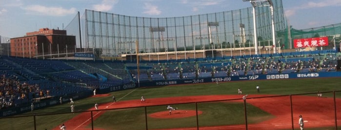 Meiji Jingu Stadium is one of 読売巨人軍.