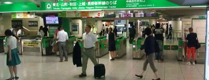 Tokyo İstasyonu is one of Stations/Terminals.