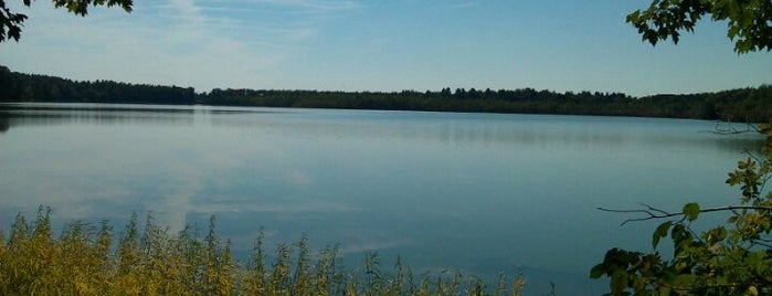 Beaver Lake Nature Center is one of CNY Fall Favorites.