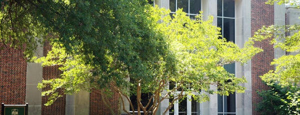 Andrews Hall is one of Academic Buildings.