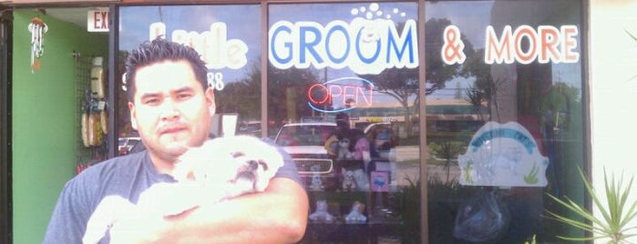 Little Groom & More is one of daveo.