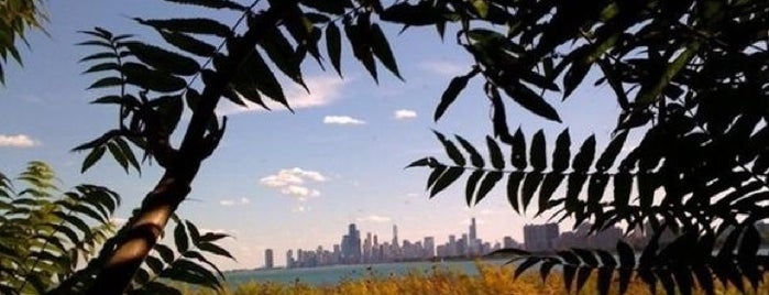 Montrose Point Bird Sanctuary is one of Parks: Chicago.