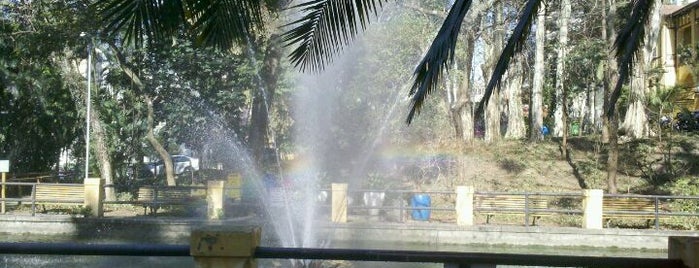 Parque da Água Branca is one of O melhor de Perdizes.