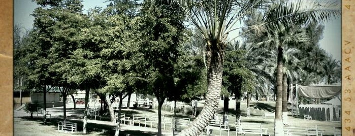 Bosque y Zoológico de la Ciudad is one of Date spots en Mexicali.