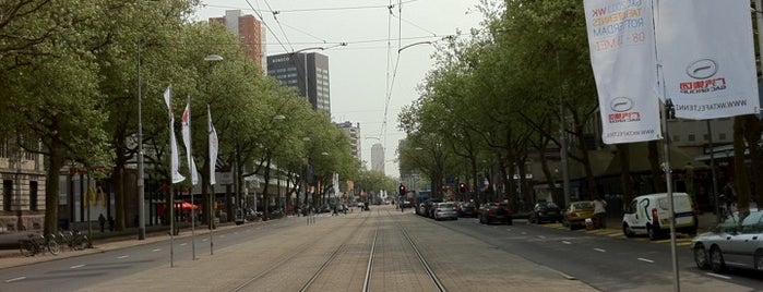Coolsingel is one of Rotterdam.